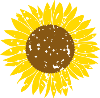 distressed-sunflower-summer-grunge-free-svg-file-SvgHeart.Com